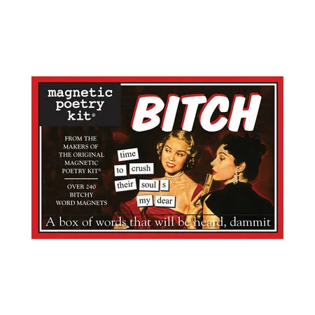 Portable stroking toy-Magnetic Poetry Kit: Bitch Edition